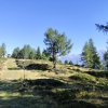 26-08-14 Frühstücksfliegen